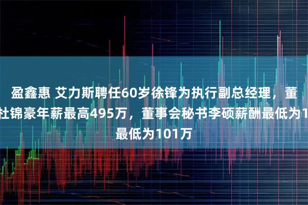 盈鑫惠 艾力斯聘任60岁徐锋为执行副总经理，董事长杜锦豪年薪最高495万，董事会秘书李硕薪酬最低为101万